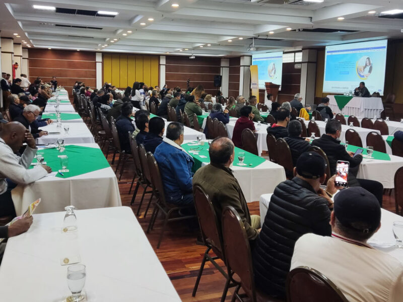 asamblea 20241500-800